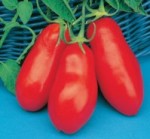 san marzano cirano