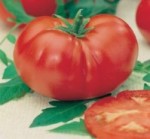 pomodoro costoluto marmande dural