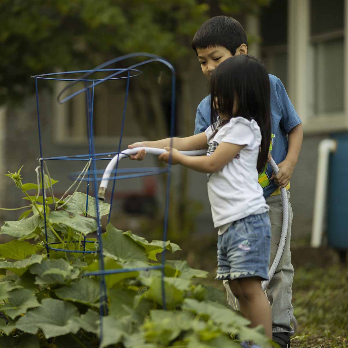 Nell’orto dei bambini facciamo Il giro del mondo