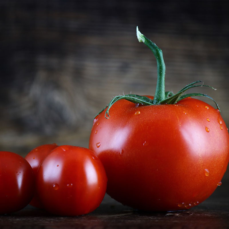 Le varietà di pomodoro