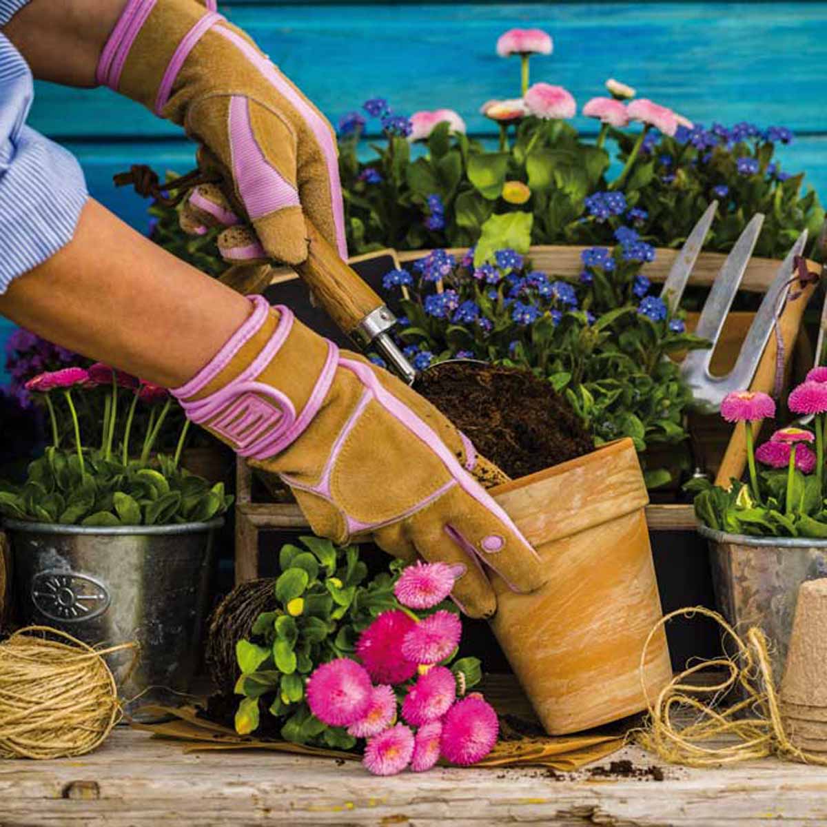 Gardening, una pazzia che fa bene