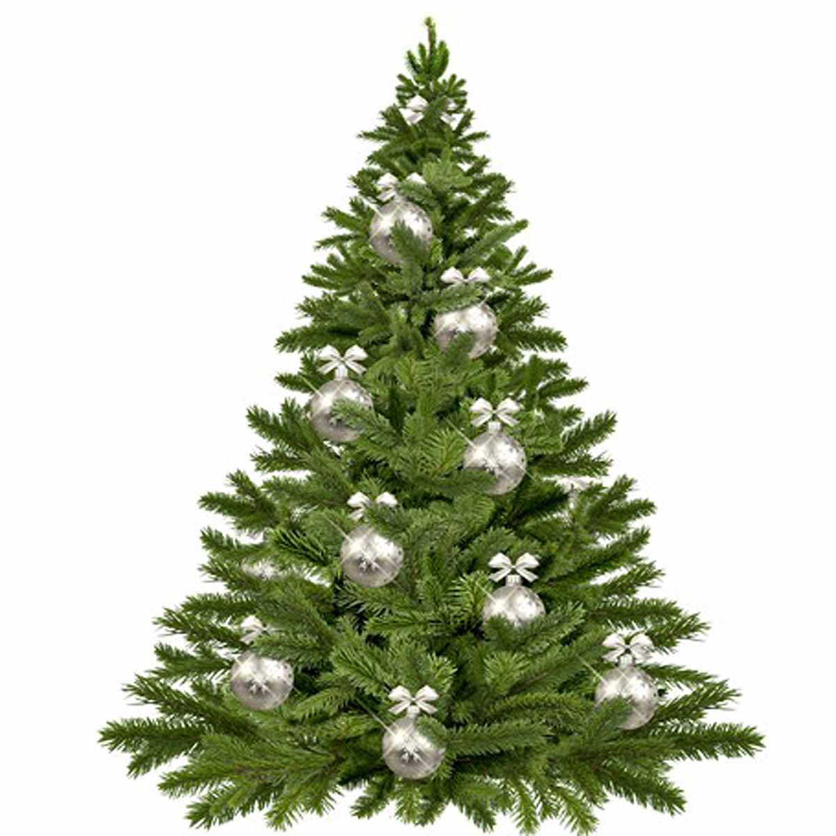 Albero di Natale, vero o artificiale?