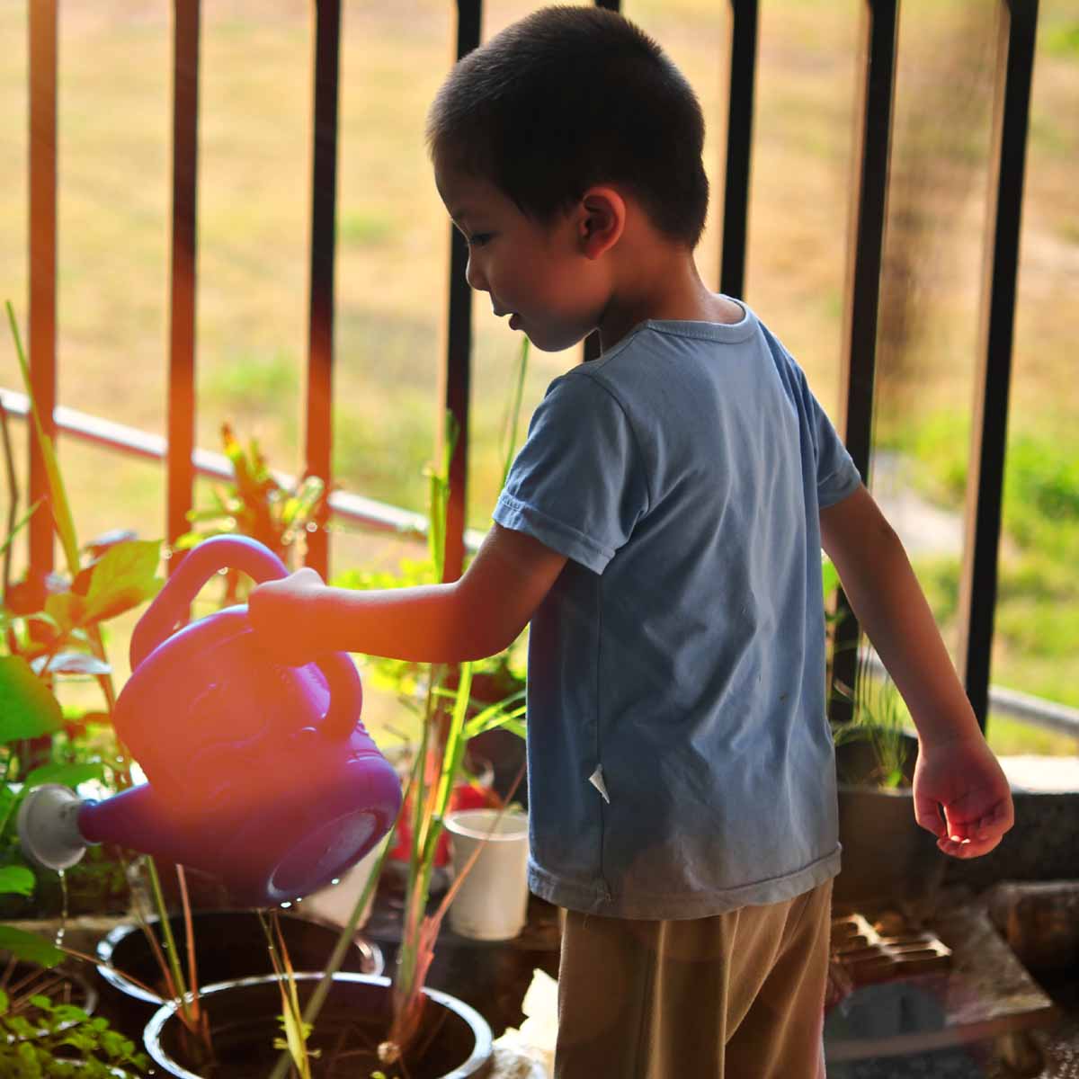 Il giardinaggio insegna il rispetto