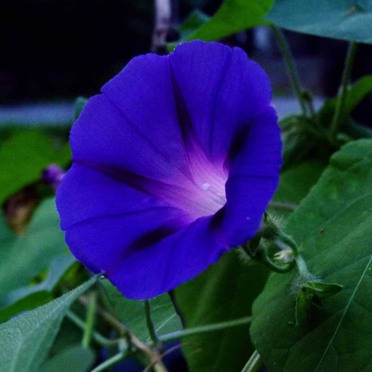 Blu e azzurro, i colori del relax