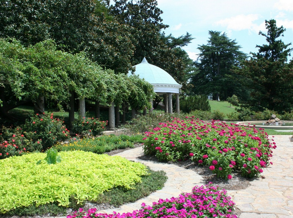 Progettare il giardino: le caratteristiche delle piante