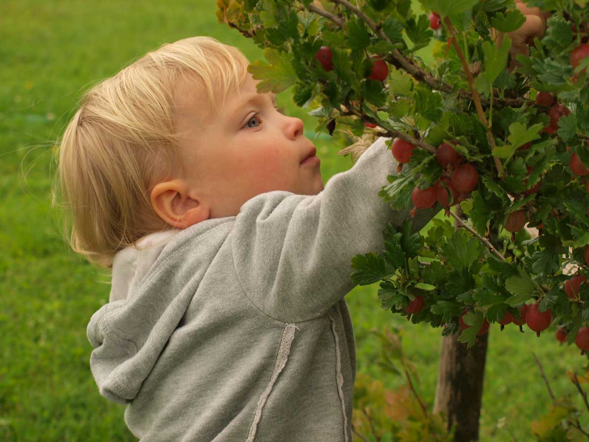 Imparare dalla natura, sin da piccoli!