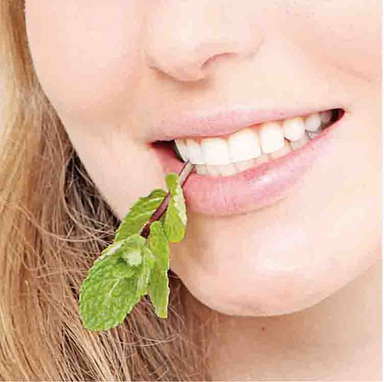 Menta per la cosmesi e il benessere