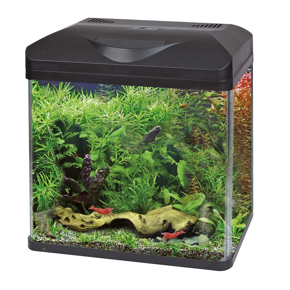 Amtra Acquario Laguna Led 40