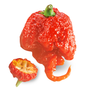 Peperoncino Carolina Reaper