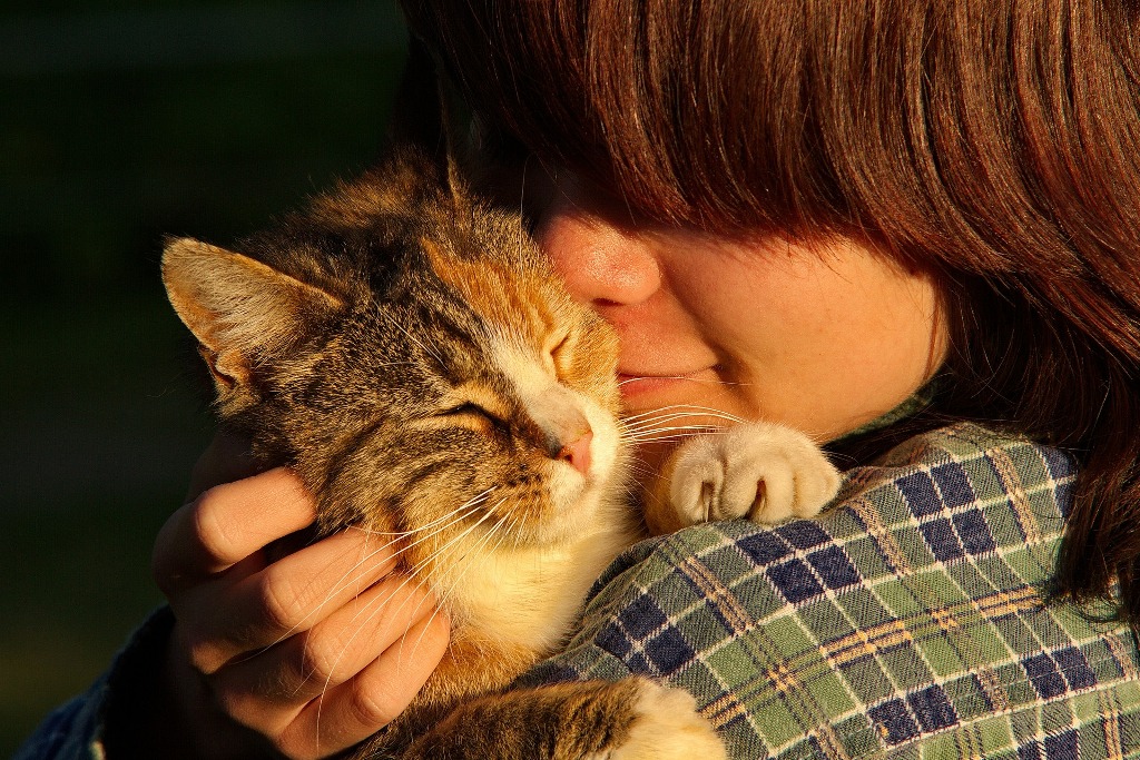 Gatto e bambino