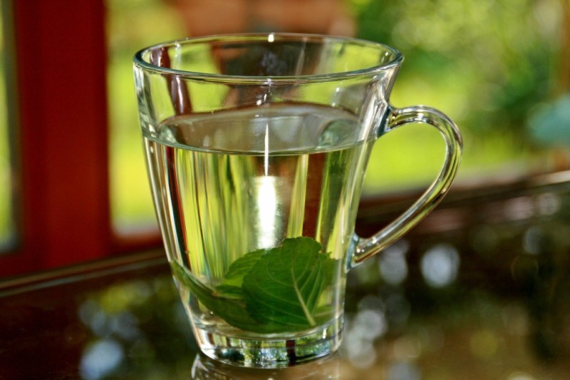 Té alla menta