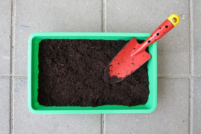 Giardinaggio: Fatica? No, divertimento!