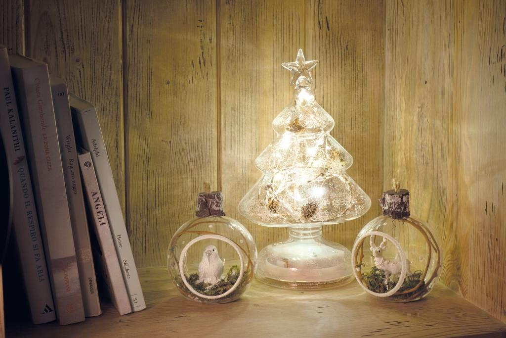 Il Natale di ghiaccio 03