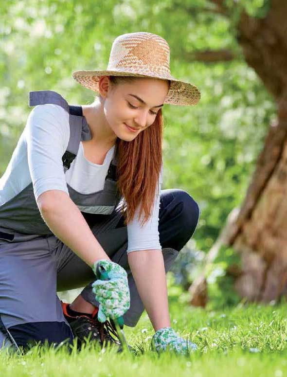 Green Gym, il giardino diventa palestra