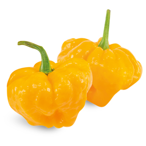 Peperoncino Jamaican Scotch Bonnet