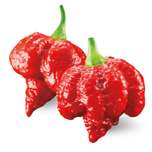 Peperoncino Moruga Scorpion rosso