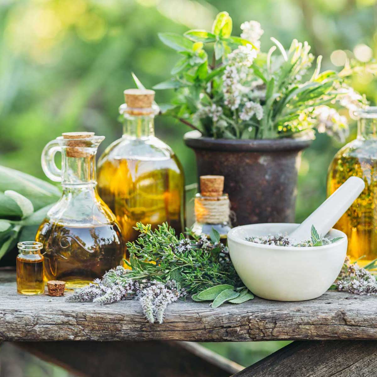 Aromatiche e officinali insolite,  la salute a portata di mano