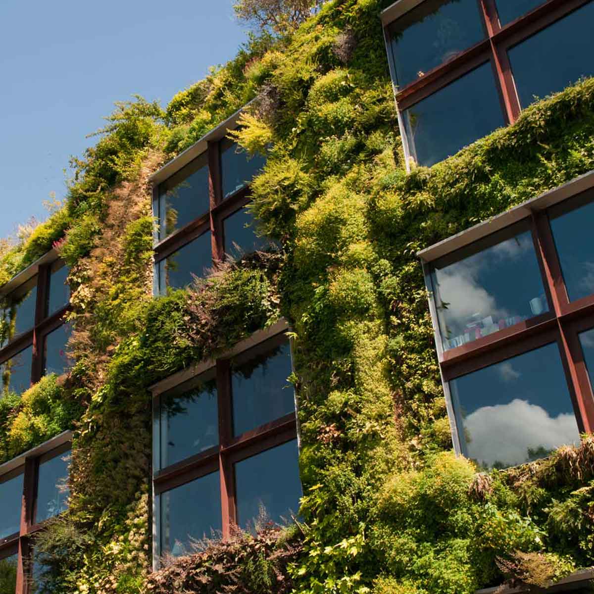 Terrazzi e balconi più verdi: lotta al riscaldamento globale