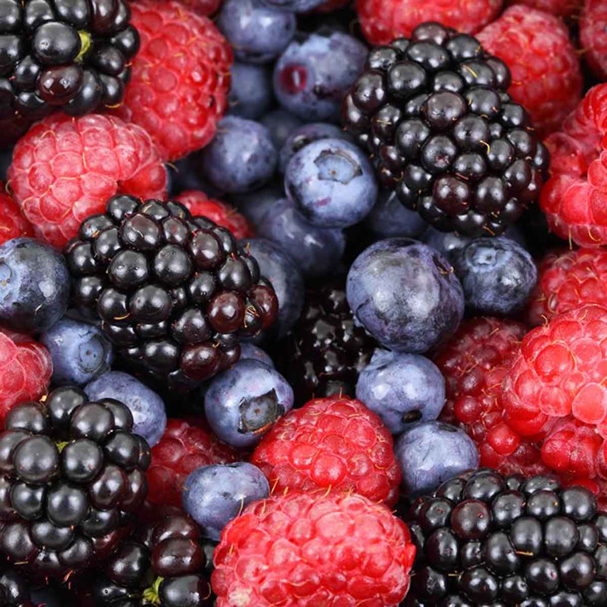 Piccoli Frutti o Frutti Minori in varietà