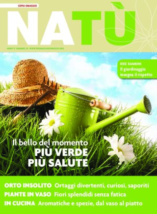 Natu’ N°24 – 2019