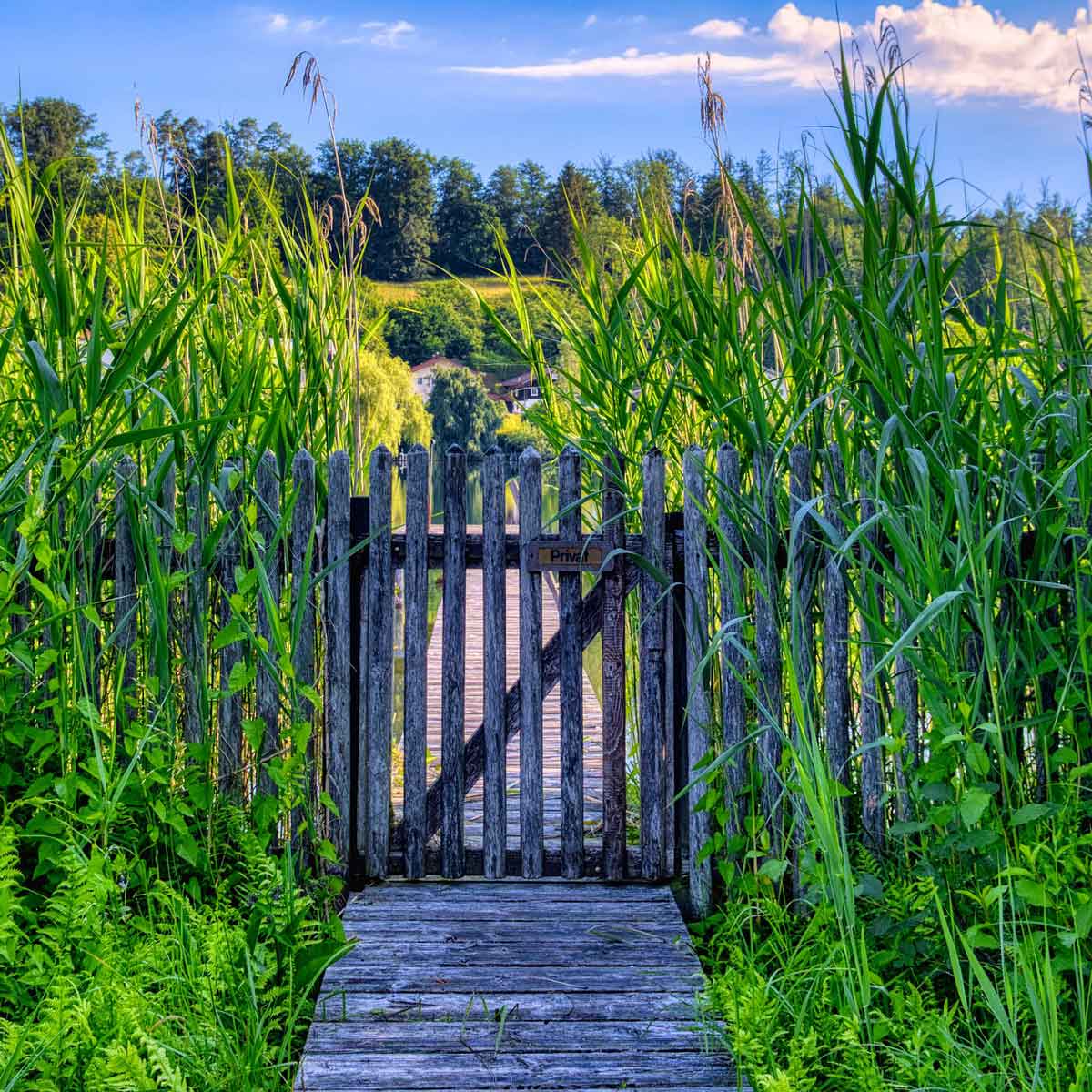 Quando il verde è proprio per tutti