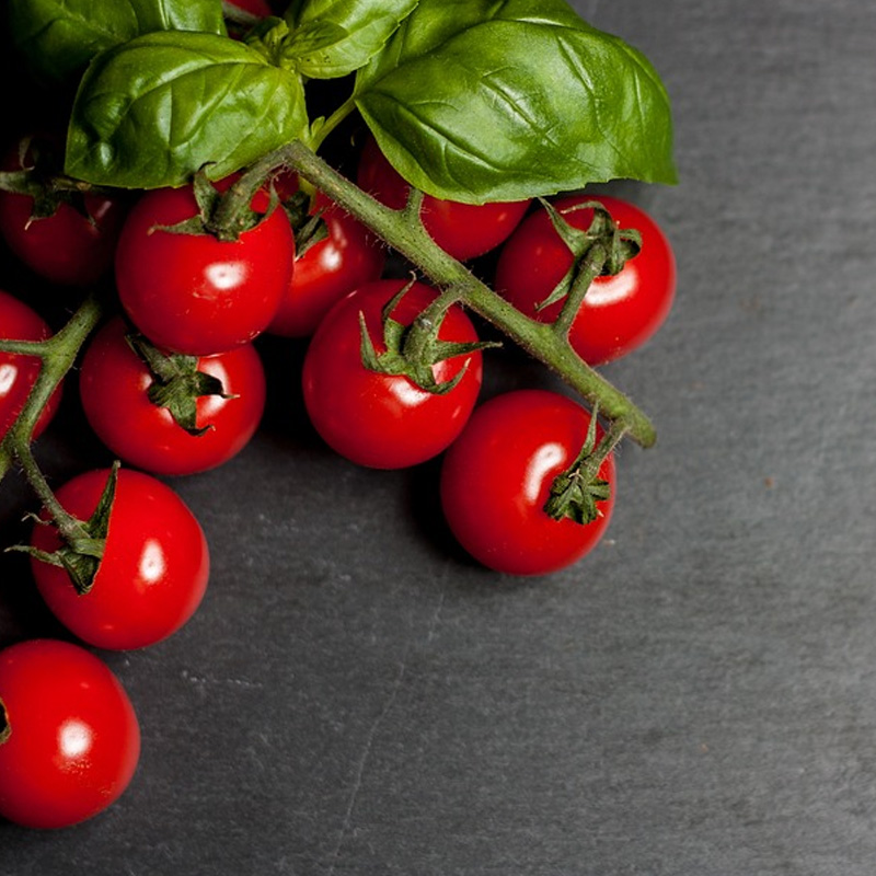 Il pomodorino: ciliegini, datterini e perini