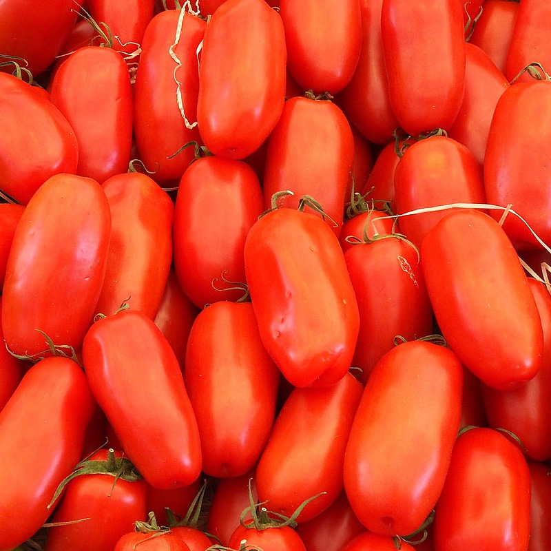 I pomodori da salsa | VIRIDEA