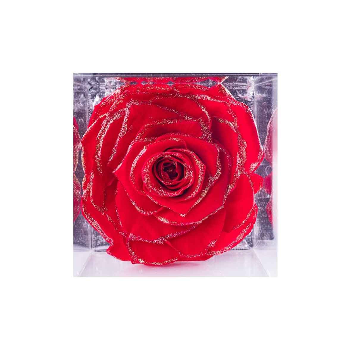 Flowercube 8×8 – Le rose stabilizzate con glitter