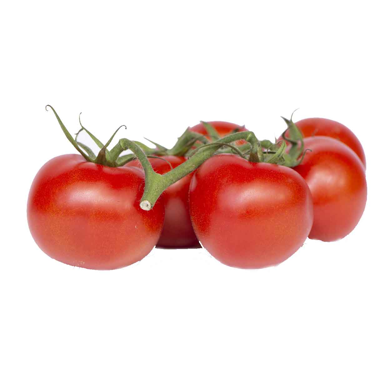 Pomodori in varietà in pack da 6 piante