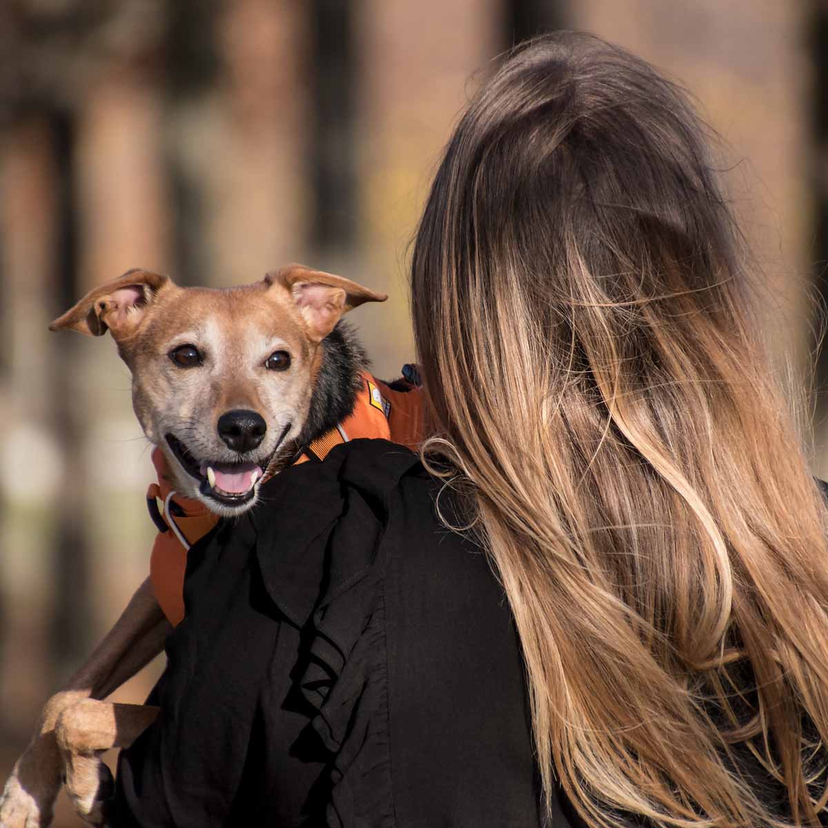 Condividere la vita con un cane o un gatto