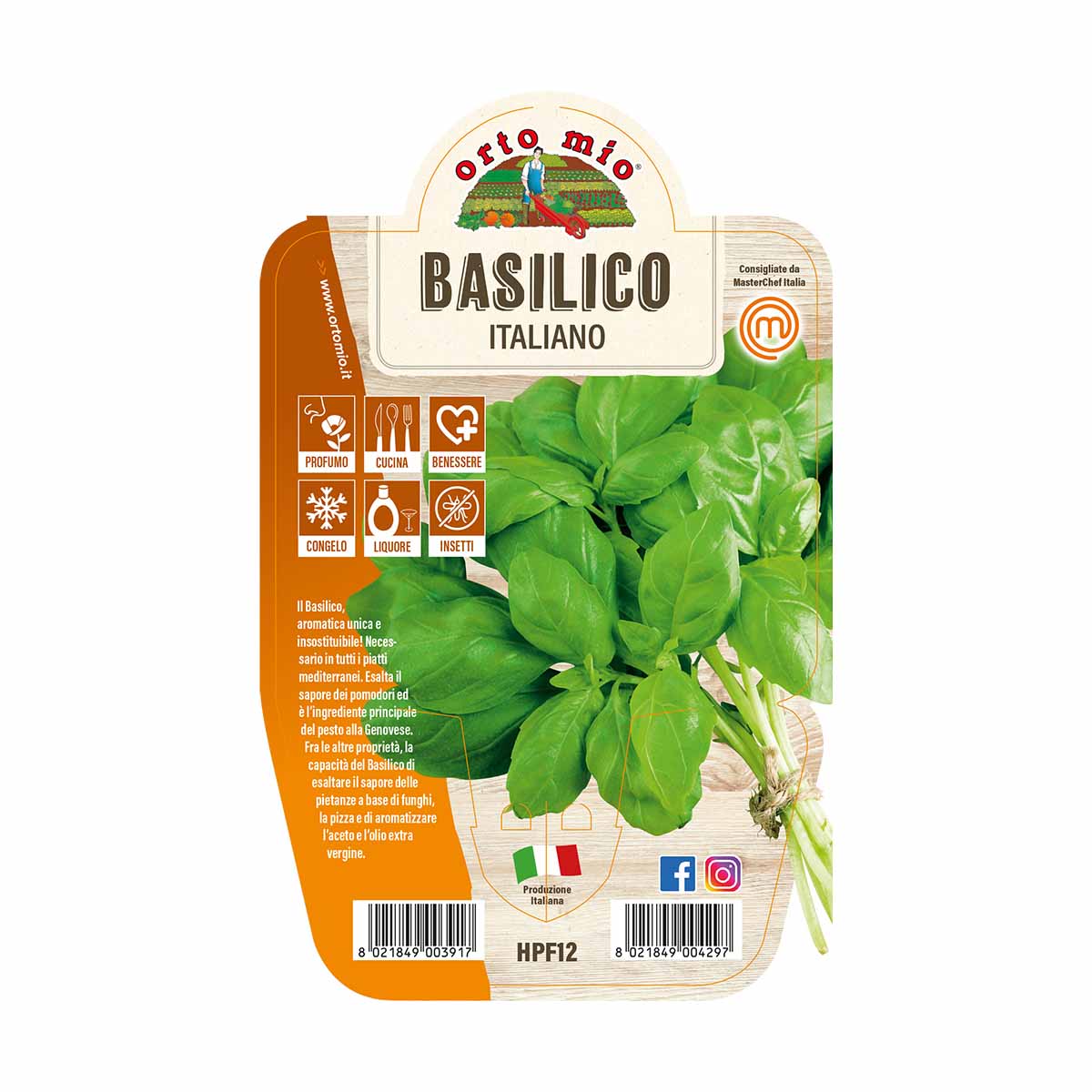 Basilico Italiano (Genovese) in vaso diametro 14cm