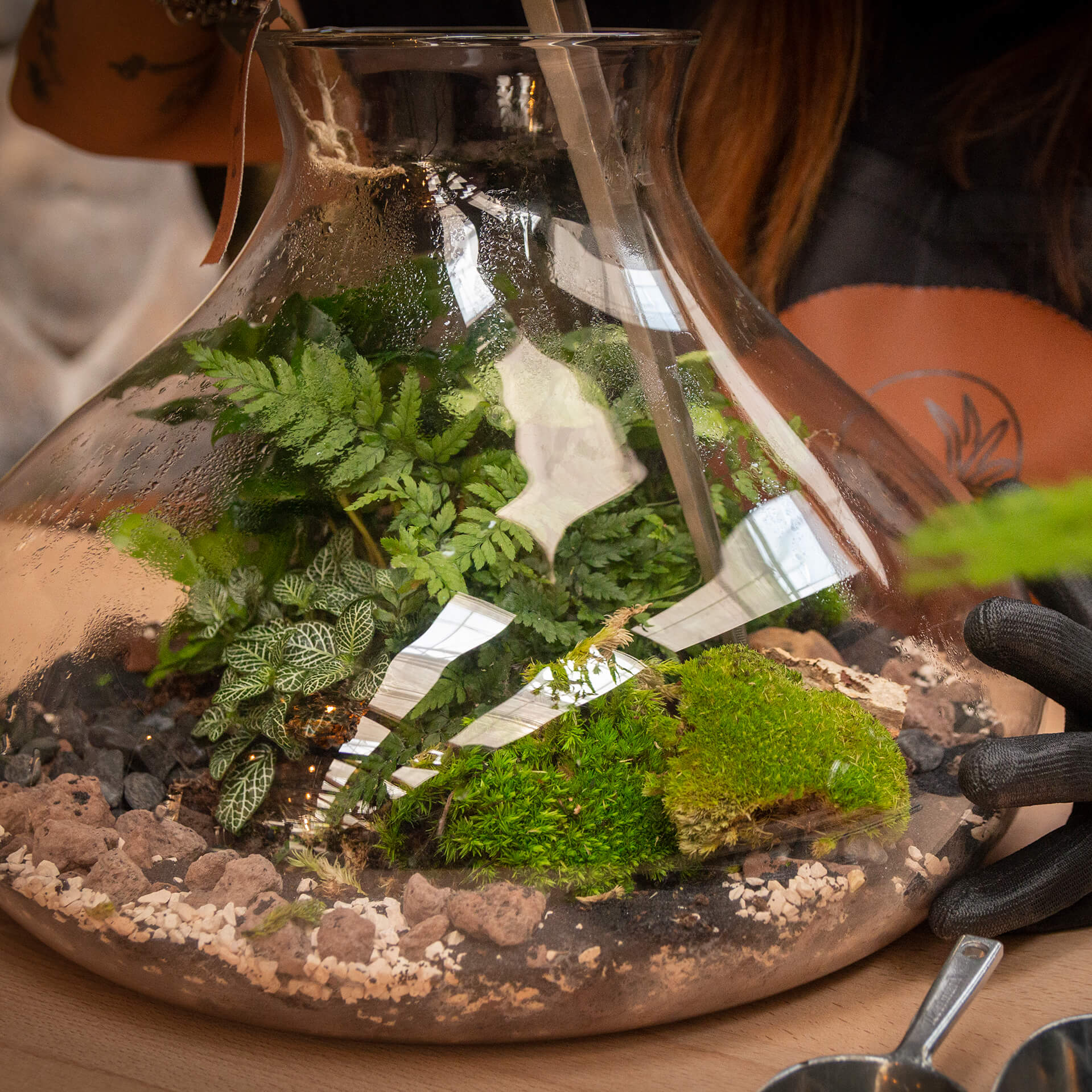 Terrarium sotto vetro