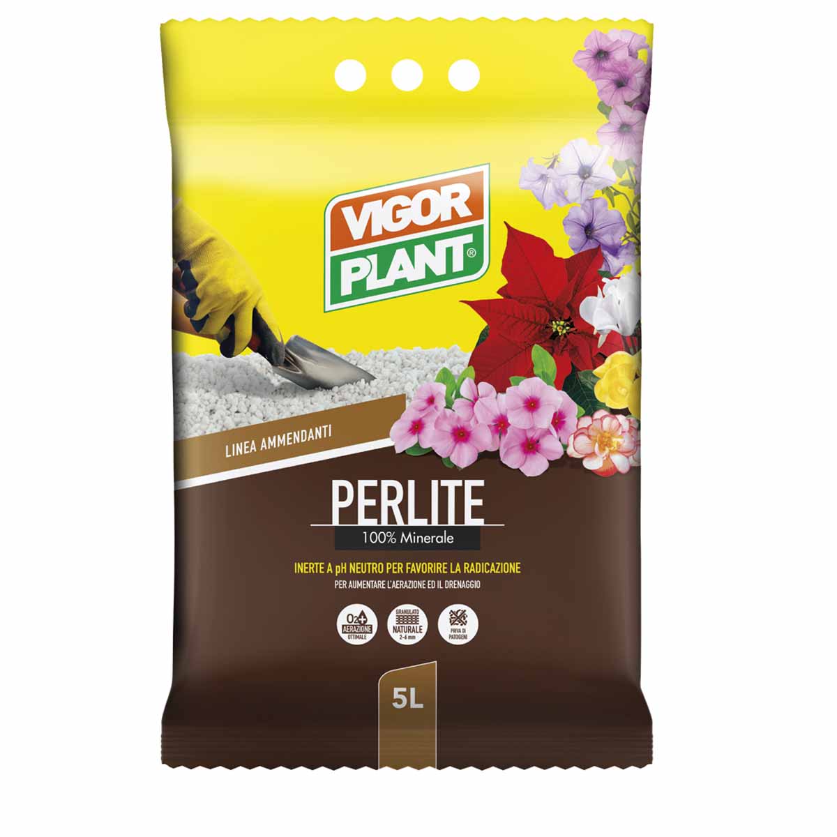 Vigorplant Perlite Espansa