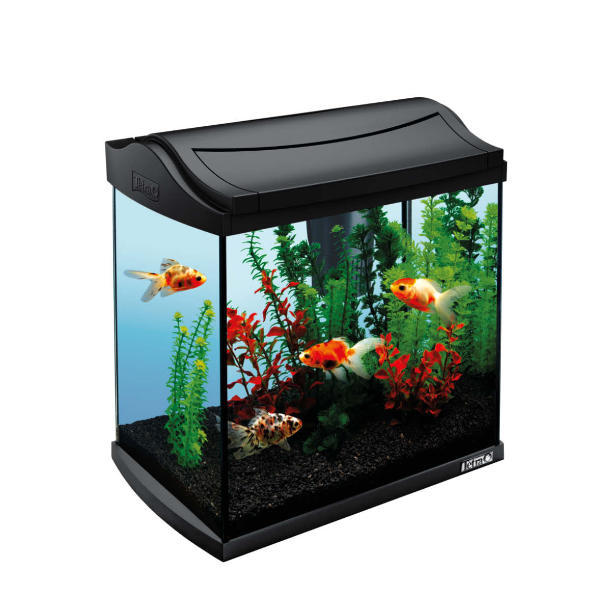 Acquario Tetra Starter Line LED 30 l Goldfish