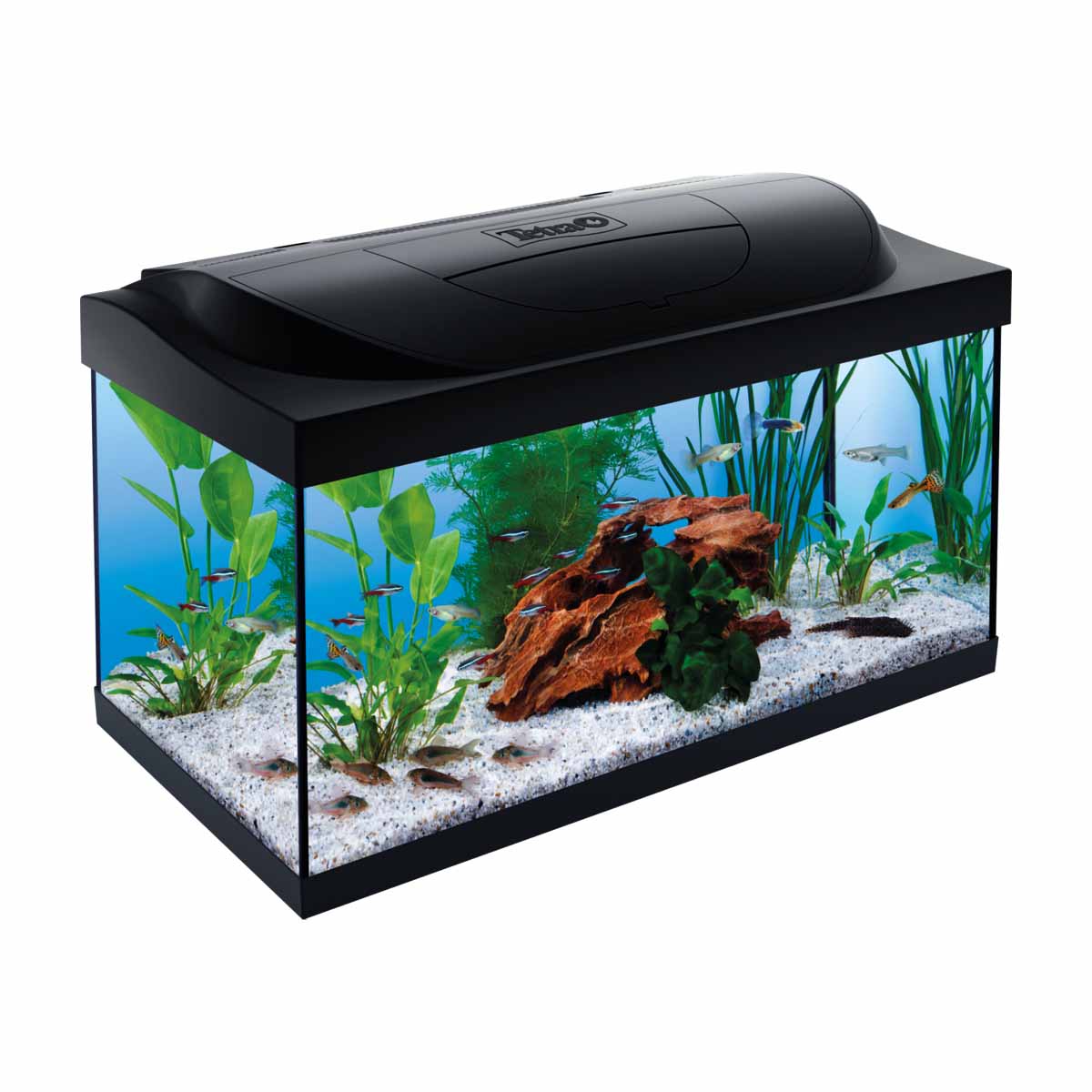 Acquario Tetra Starter Line LED 54 l