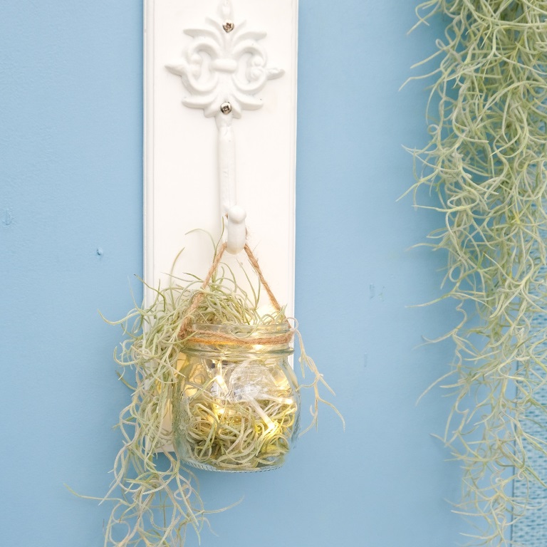 Lanterna con Tillandsia