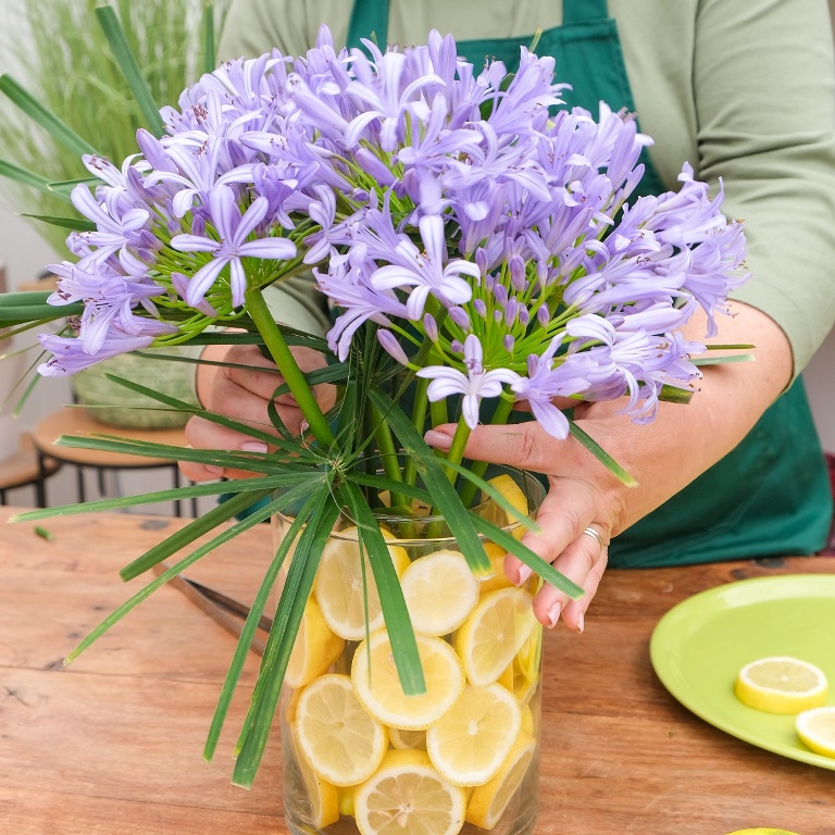 Composizione di fiori freschi e limoni