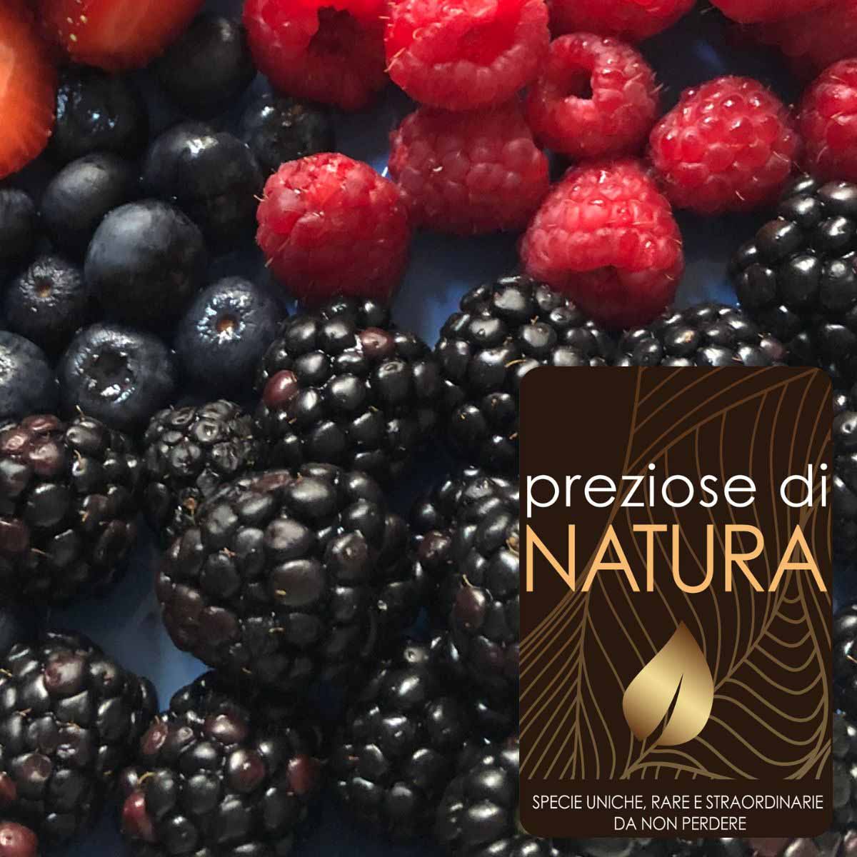 Preziose di Natura – Piccoli Frutti o frutti minori “Special”