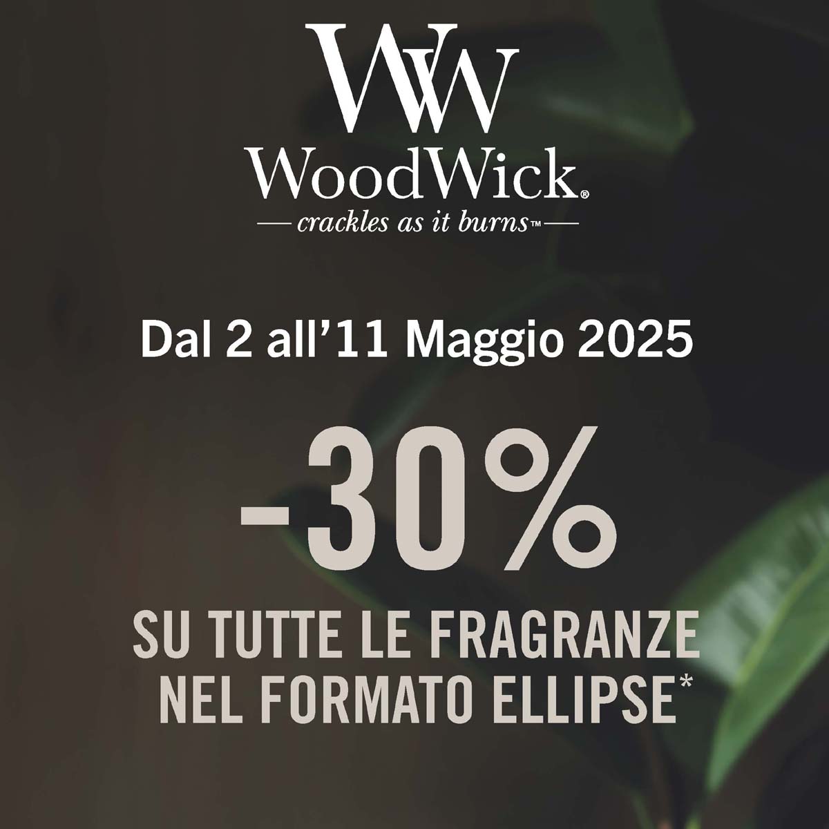 WoodWick Speciale Festa della Mamma – Candele Ellipse